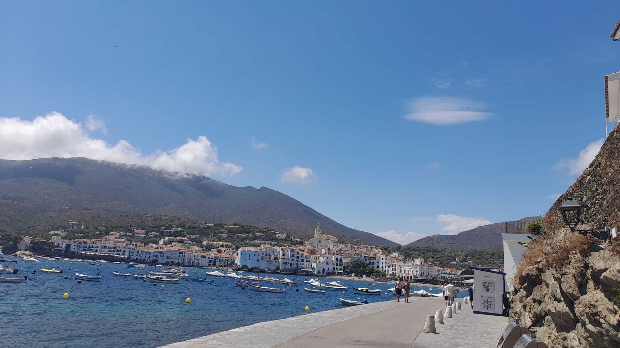 WhatsApp Image 2022-07-03 at 18.00.55